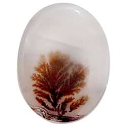 نگین عقیق شجر معدنی قائن